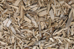biomass boilers Griomasaigh