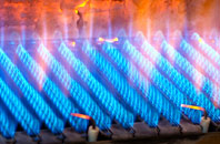 Griomasaigh gas fired boilers